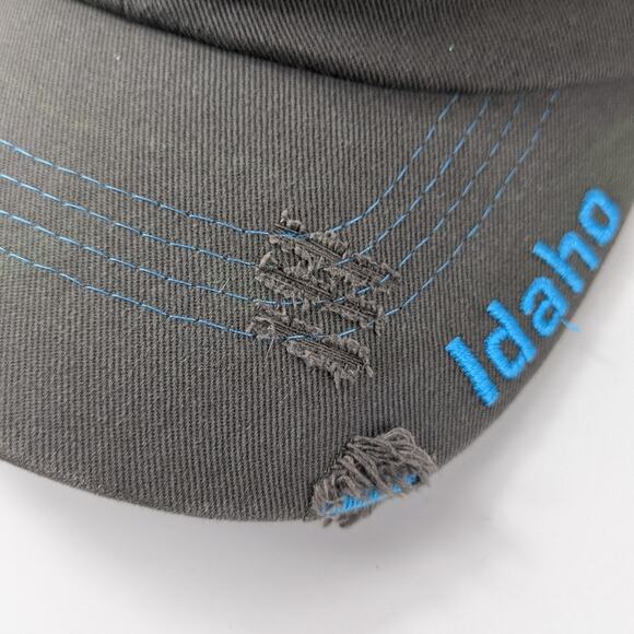 Idaho Trucker Hat "Whatever Floats Your Boat" Mesh Snapback Blue Gray One Size - Picture 10 of 16